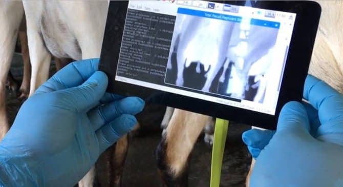 Image Livestock Tech: Who Is the Farmer of the Future?