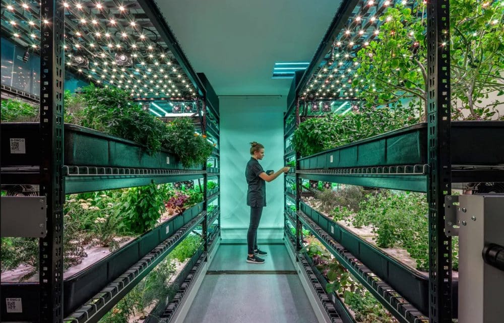 Image Urban Farming: Strategies for a Greener Future